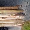 Kastanje Palen 3 meter lang 8-10 cm dik!!