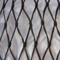 Klik om te vergroten